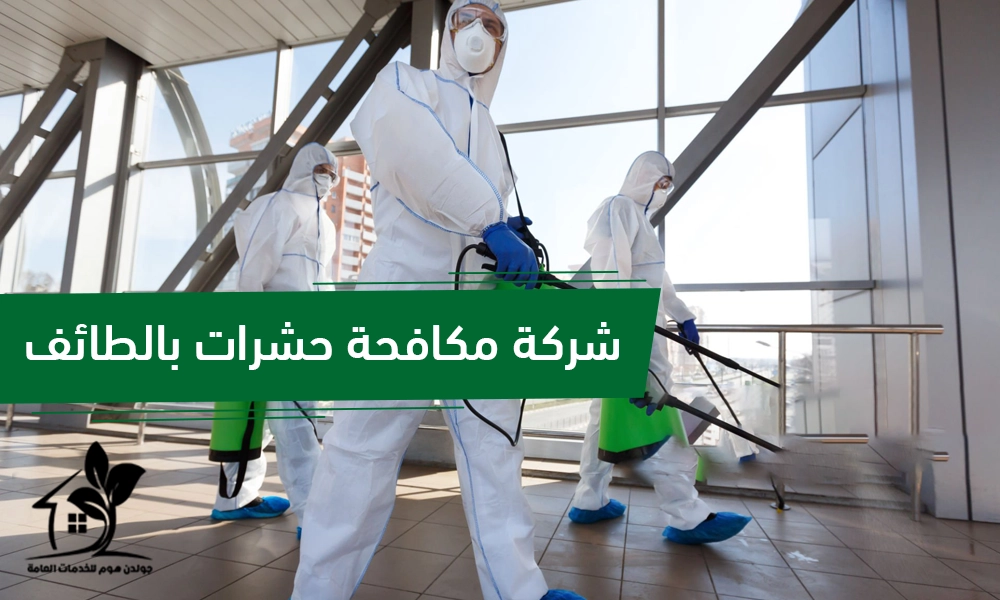 شركة مكافحة حشرات بالطائف